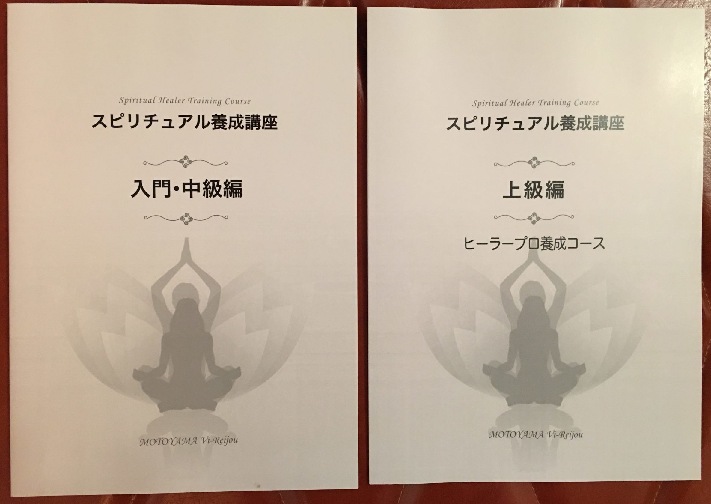 f:id:siratamacyan:20200213120455j:plain