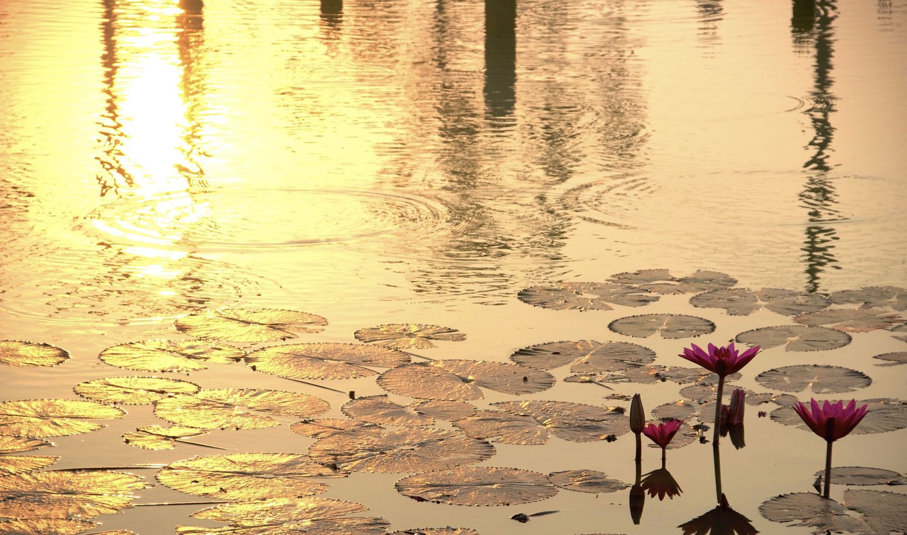 叔父の死と無常の体現